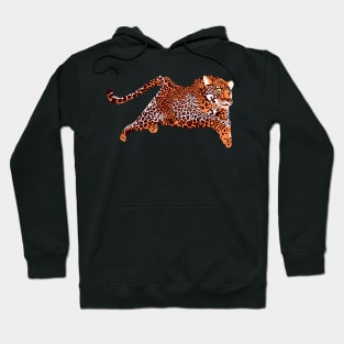 leopard Hoodie